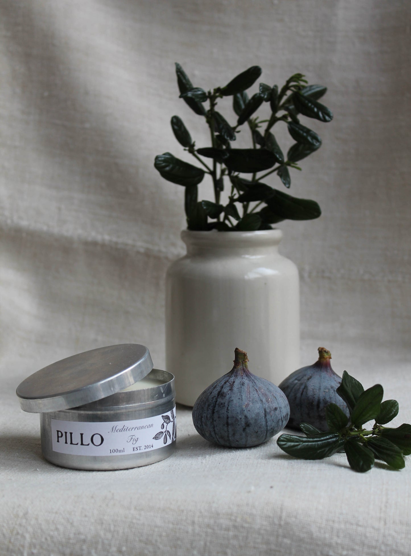 Mediterranean Fig Travel Tin Candle 2