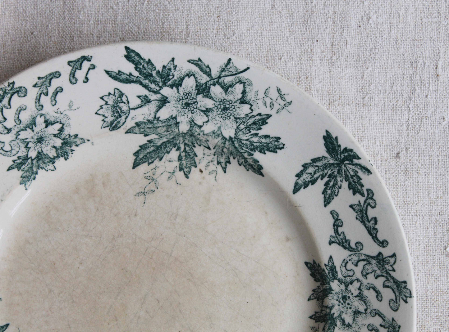 Vintage Anemone Pattern Plate