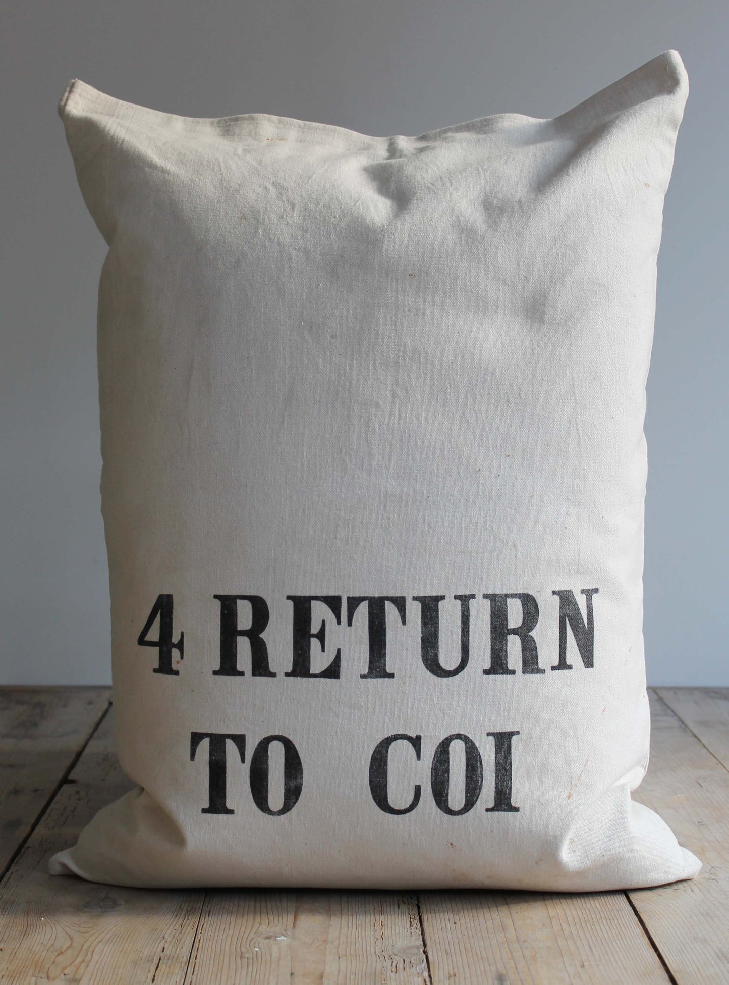 Vintage Return Cushion