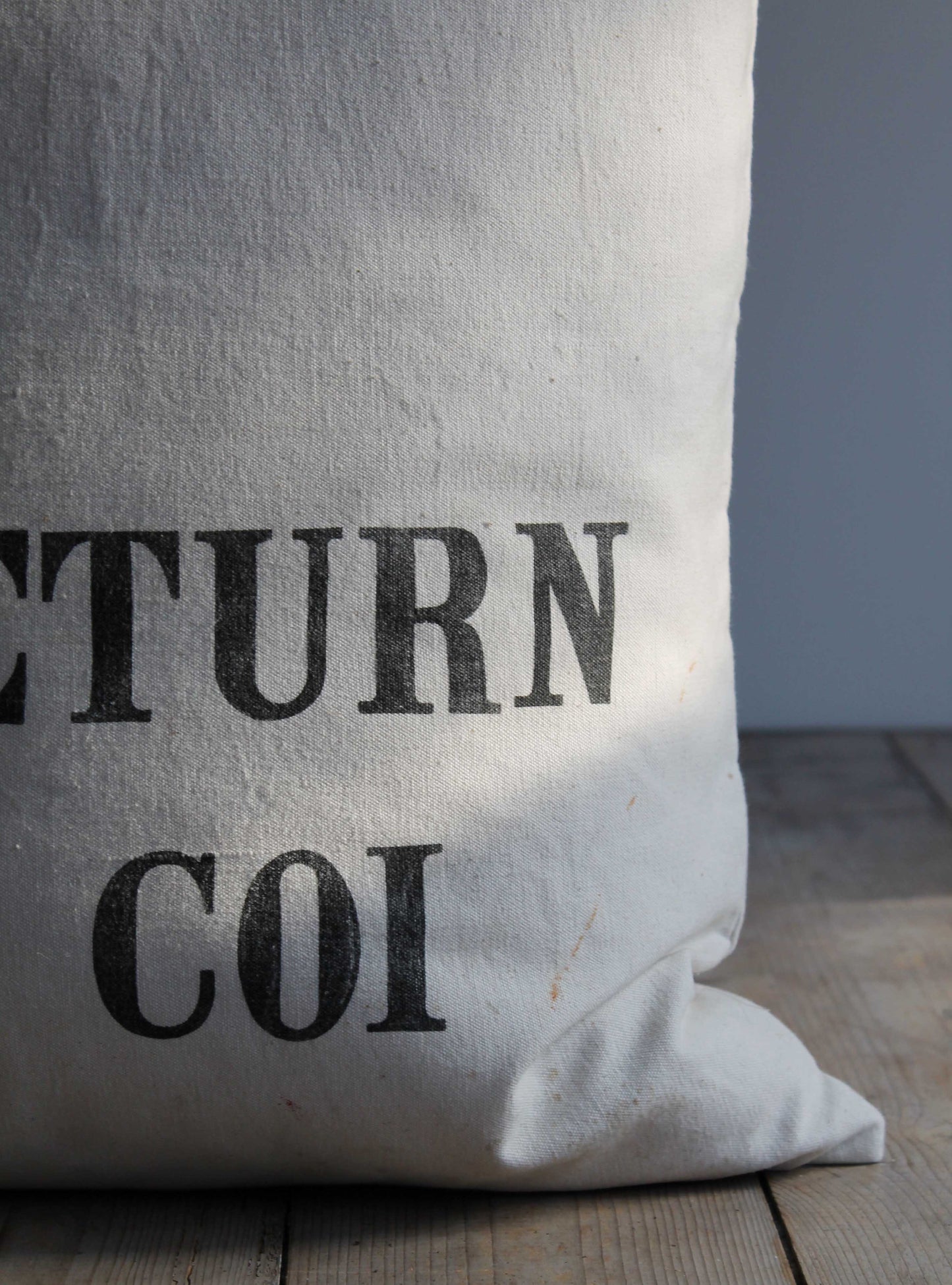 Vintage Return Cushion